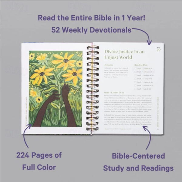 A Beautiful Year in The Bible Upgrade Spiral-Bound Women Bible Study Guide, The 52-Week Bible Study for Women Bible Study Guide Women Year in The Bibl