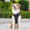 Dog Cat Coat Jacket Vest Puffer Jack Basic Casual / Sporty Winter Waterproof Warm Soft Washable Comfortable Christmas Halloween Carnival New Year Okto