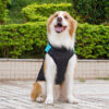 Dog Cat Coat Jacket Vest Puffer Jack Basic Casual / Sporty Winter Waterproof Warm Soft Washable Comfortable Christmas Halloween Carnival New Year Okto