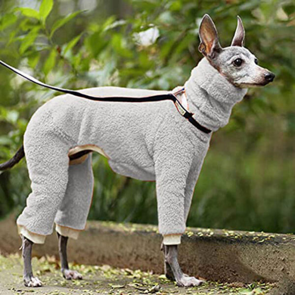 Dog Jumpsuit Fashion Stylish Ordinary Classic Style Retro Vintage Fall Winter Warm Fashion Sports Outdoor Dog Clothing for Greyhound 2024 - US $17.99