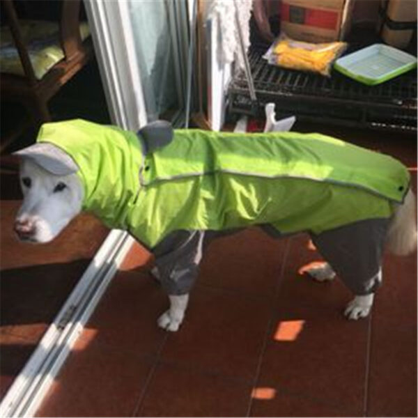 Dog Raincoat All-inclusive Open Belly Medium And Large Dog Teddy Bichon Golden Retriever Satsuma Pet Siamese Four-legged Clothes 2024 - US $34.99