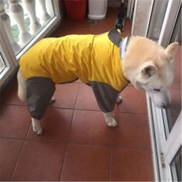 Dog Raincoat All-inclusive Open Belly Medium And Large Dog Teddy Bichon Golden Retriever Satsuma Pet Siamese Four-legged Clothes 2024 - US $34.99