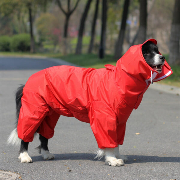 Dog Raincoat All-inclusive Open Belly Medium And Large Dog Teddy Bichon Golden Retriever Satsuma Pet Siamese Four-legged Clothes 2024 - US $34.99